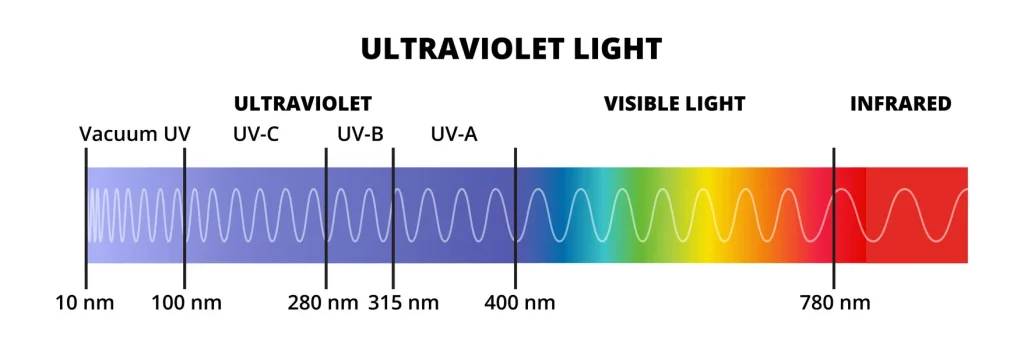 Ultraviolet vs. Red Lights